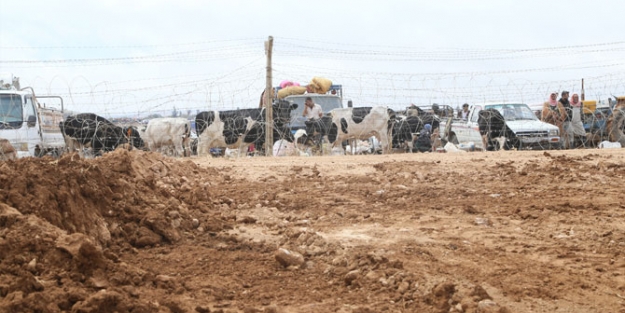 Suriye sınırına hendekler kazılıyor!