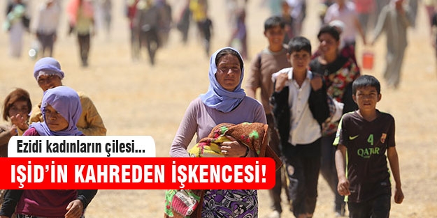 3 bin Ezidi kadını seks kölesi yapıp pazarlıyorlar!