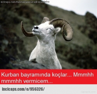 Kurban Bayramı caps'leri