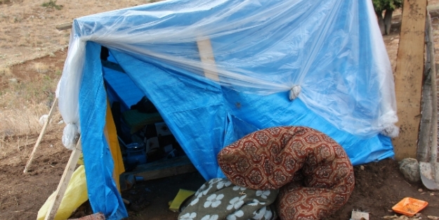 Çobanlar çadırda...