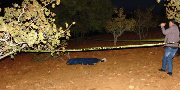 Aşkına karşılık bulamayınca intihar etti