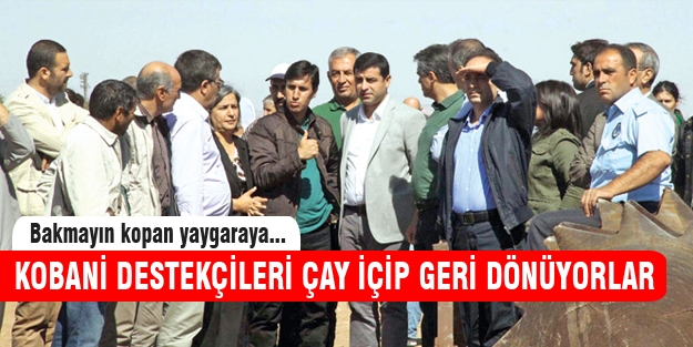 Kobani'ye sözde desteğe gidenler çay içip geri dönüyor