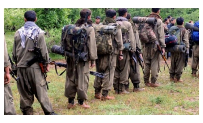 Van'da etkisiz hale getirilen teröristler hakkında flaş gelişme!