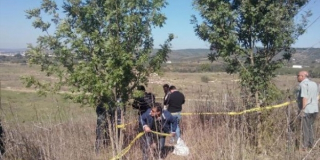 Yol kenarında infaz!