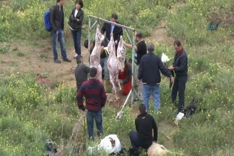 Kurban keserken kalp krizi geçirdi!