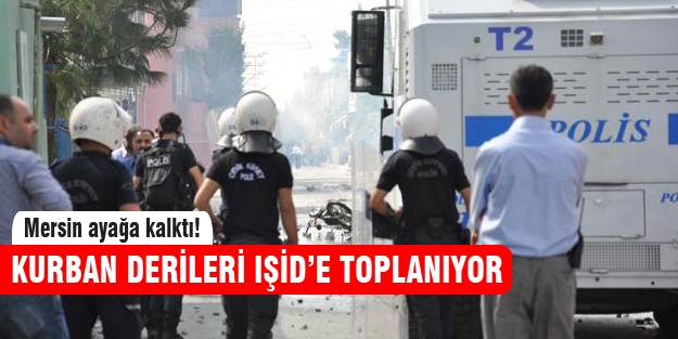 IŞİD'e deri toplanıyor iddiası Mersin'i karıştırdı