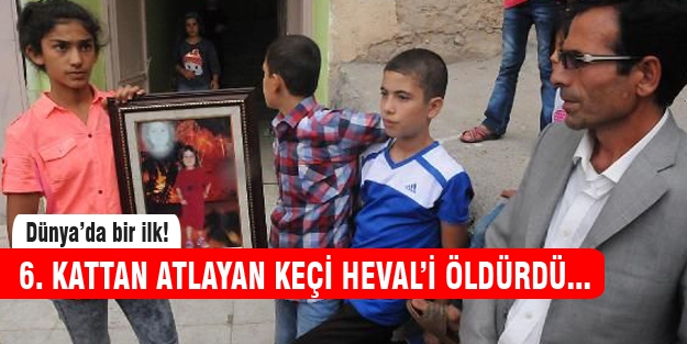 Kurbanlık keçi Heval'in ölümüne neden oldu