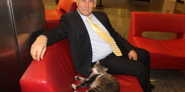 CHP'nin kedisi Şero'dan anlamlı mesaj