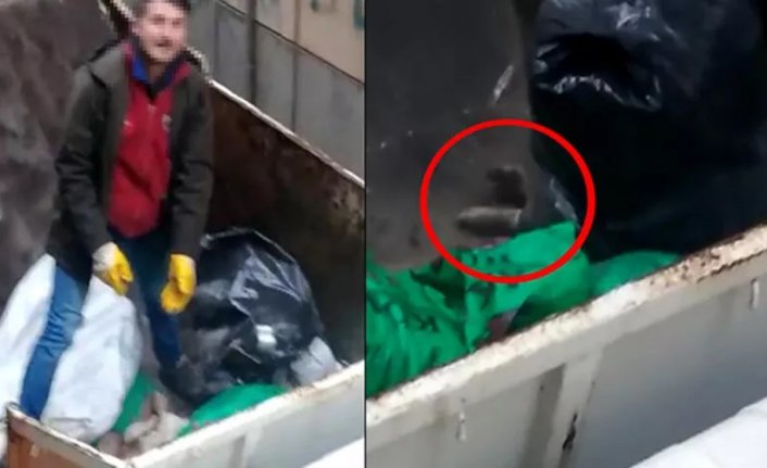 Vicdanları kanatan olay! Yaralı köpeğin üzerine moloz döktüler