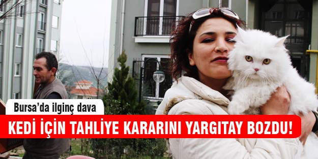 Kediye tahliye kararı Yargıtay'dan döndü!