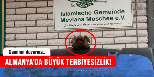 Almanya'da büyük terbiyesizlik!