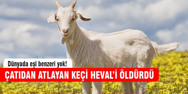 Çatıdan atlayan keçi küçük Heval'i öldürdü!