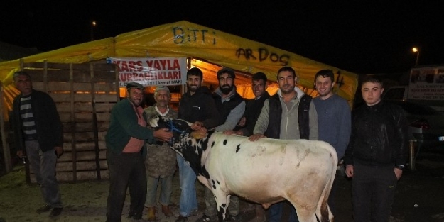 Körfez Kurban Pazarında Halay Keyfi