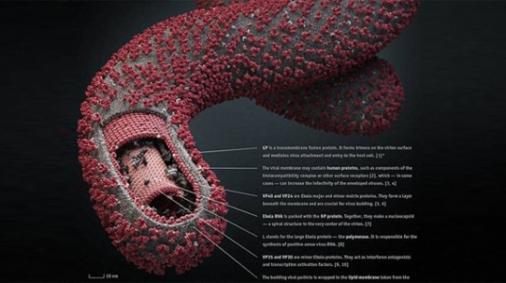 Avrupa'ya ulaşması an meselesi