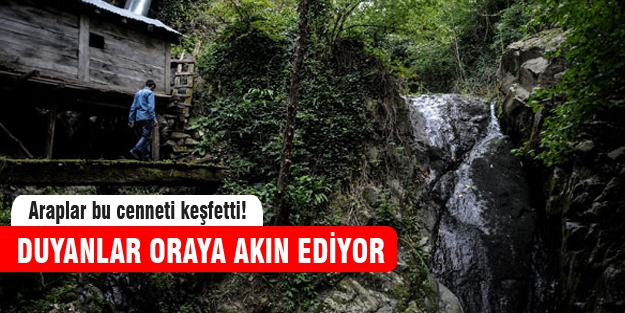 Araplar'dan Karadeniz'e tatil köyü!