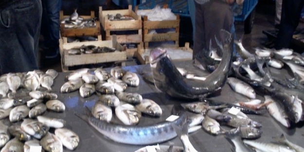 Urla’da Balıkları Zehirleyerek Av Yaptılar