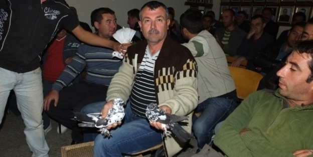 Kahvede Güvercin Mezadı