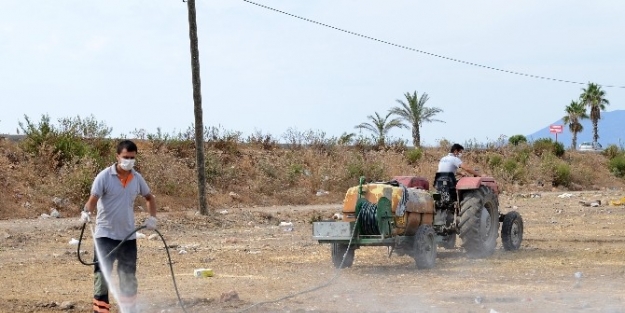 Kumluca’da Kurbanlık Satış Yerlerinde İlaçlama Yapıldı