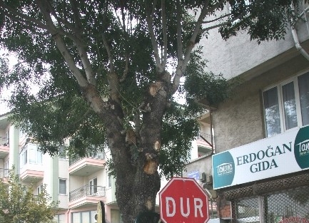 Afyonkarahisar’da Günün Fotoğrafı