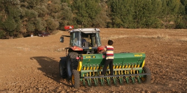 Yozgat’ta Hububat Ekimi Başladı