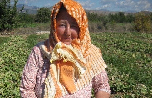 Ödemişli Turşuluk Salatalık Üreticileri Bayramı Tarlada Geçirdi