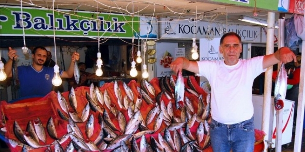 Bandırma’da Palamut Ucuzluğu