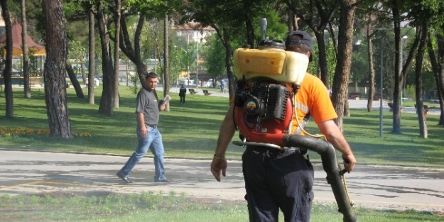 Haşereyle Mücadele Tamamlandı