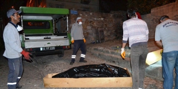 Yaşlı Kadının Cesedi 15 Gün Sonra Bulundu