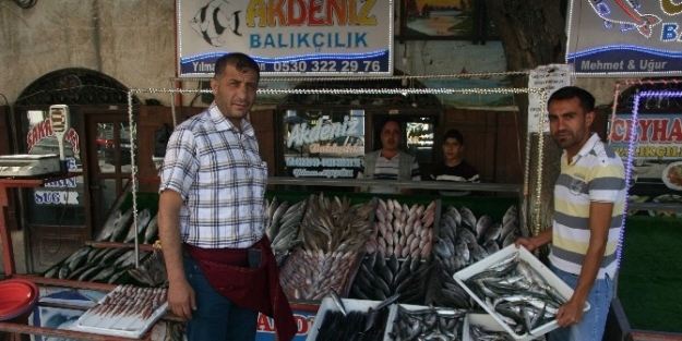 Kurban Eti Balık Satışlarını Düşürdü
