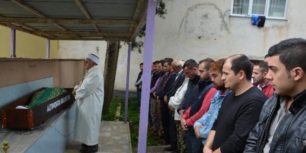 Kalbine Yenik Düşen Arıcı Toprağa Verildi