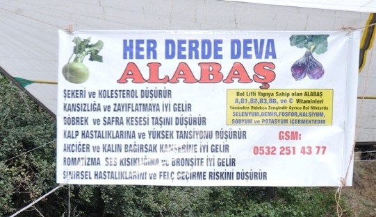 Yurt Dışında “cehennem Topuzu” Bozdağ’da “alabaş”