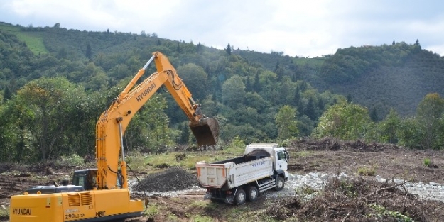 Türkiye’nin En Büyük Hayvan Bakım Merkezi Trabzon’da Yapılıyor