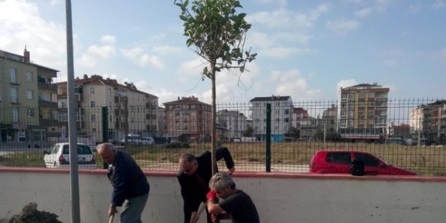 Kapaklı Belediyesi Ortaokulu’nda Ağaçlandırma Çalişmasi Yapıldı