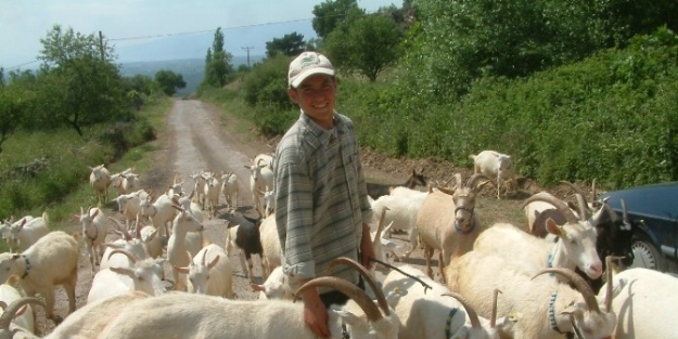 Burhaniye’de "mavi Dil" Karantinası