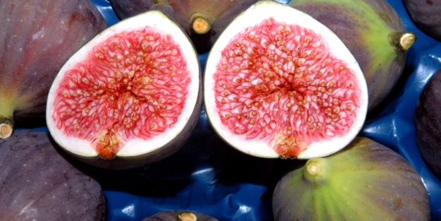 Siyah incirde tüm zamanları rekoru kırıldı