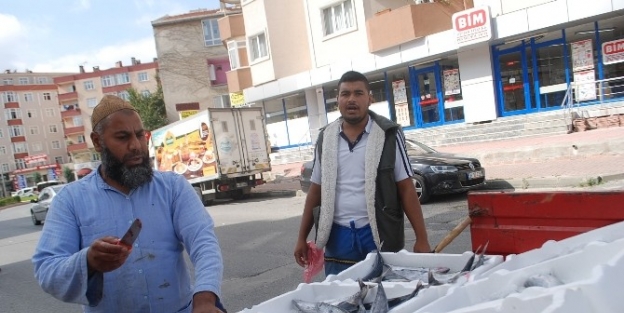 KURBAN BAYRAMI’NIN ARDINDAN BALIK FİYATLARI DÜŞTÜ