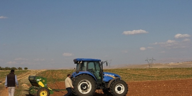 Darende’de Üstün Verimli Buğday Denemesi