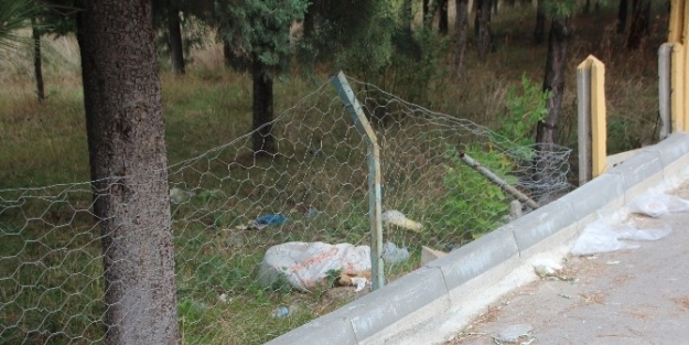 Okul Bahçesine Yakışmayan Görüntü