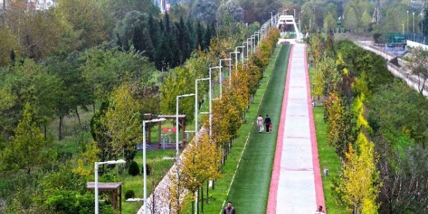 Kocaeli’ye 10 Yılda 6 Milyon 288 Bin Ağaç