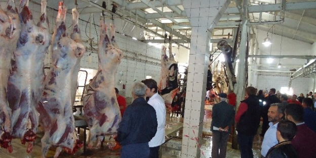 Malkara’da 286 Adet Kurban Kesimi Gerçekleşti