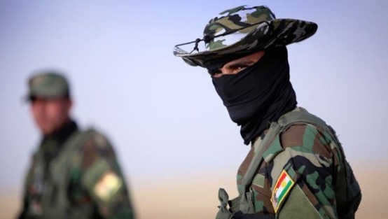 O ülke peşmergeye eğitim verecek