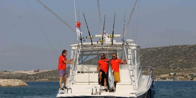Patronlar Orkinos İçin Buluştu