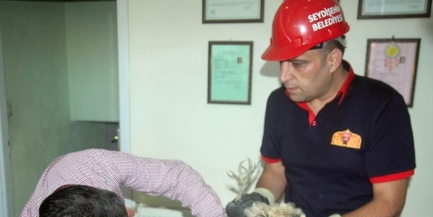 Yaralı Bulunan İran Balıkçıl Kuşu Tedavi Edildi