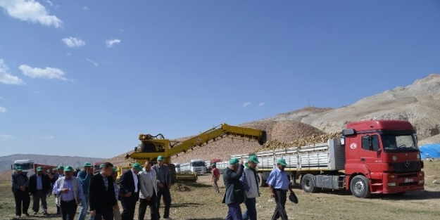 Kayseri Şeker Pancar Söküm Günleri Başladı