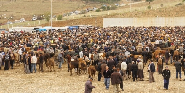 Kastamonu’da Kurban Bayramı, Bereketli Geçti