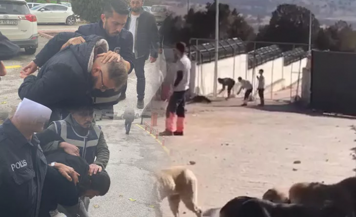 Konya barınağında köpeğin kürekle katledilmesine ilişkin istenen ceza belli oldu