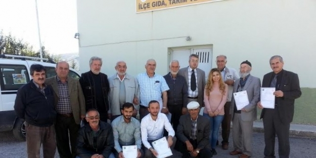 Ilgaz’da 160 Ton Organik Bal Üretildi