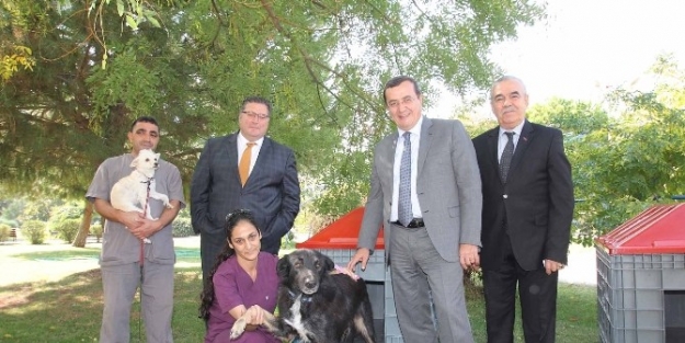 Narlıdere’de Sokak Hayvanlari İçin Atıklardan Yuva