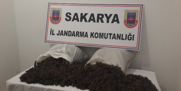 Ormanlık Alanda 22 Kilo Kubar Esrar Ele Geçirildi