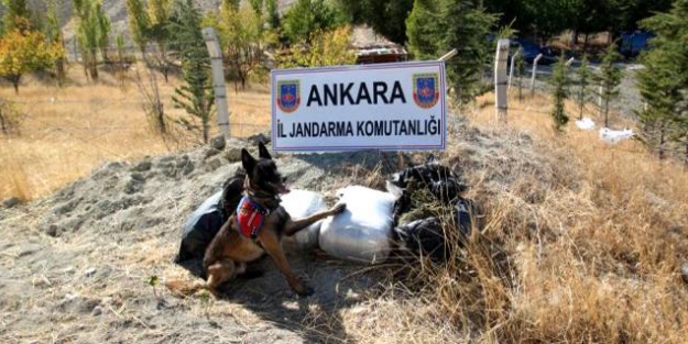 Ankara'da uyuşturucu operasyonu